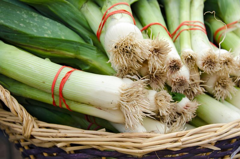 Anelli in gomma sicuri per gli alimenti e privi di lattice Anelli in gomma sicuri per gli alimenti e privi di lattice